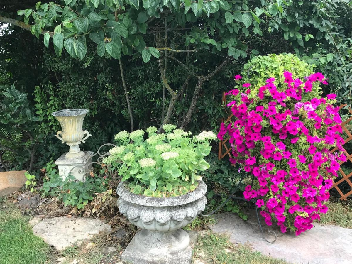Willa Viktoria House Balatonszarszo Zewnętrze zdjęcie