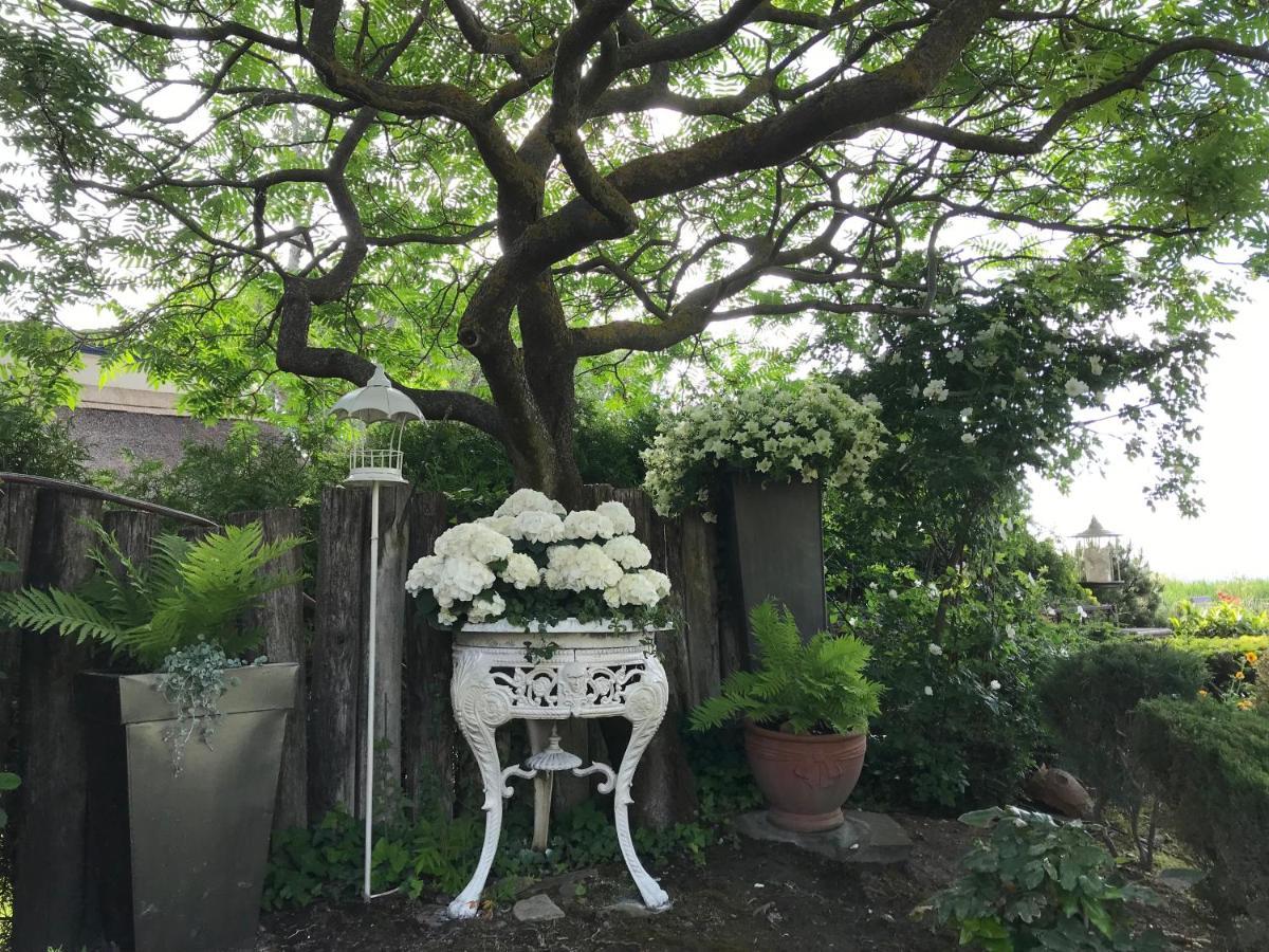 Willa Viktoria House Balatonszarszo Zewnętrze zdjęcie
